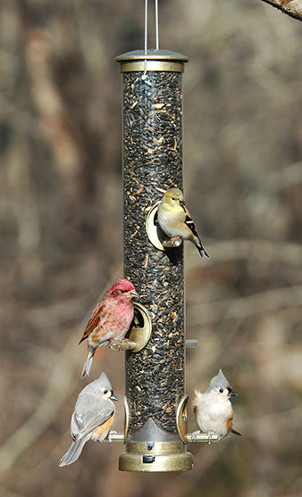 Multi-Seed Tube Feeders
