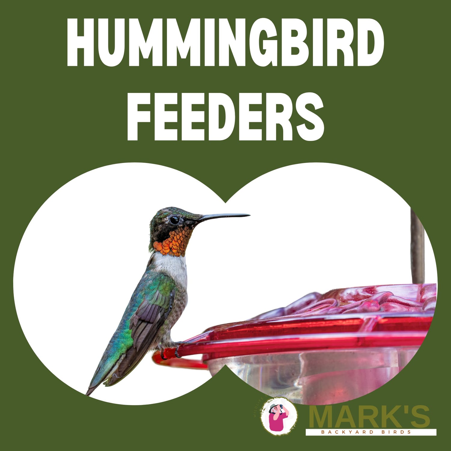 Hummingbird Feeders