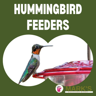 Bird feeders, birdseed, bird houses attracting birds to your backyard ...