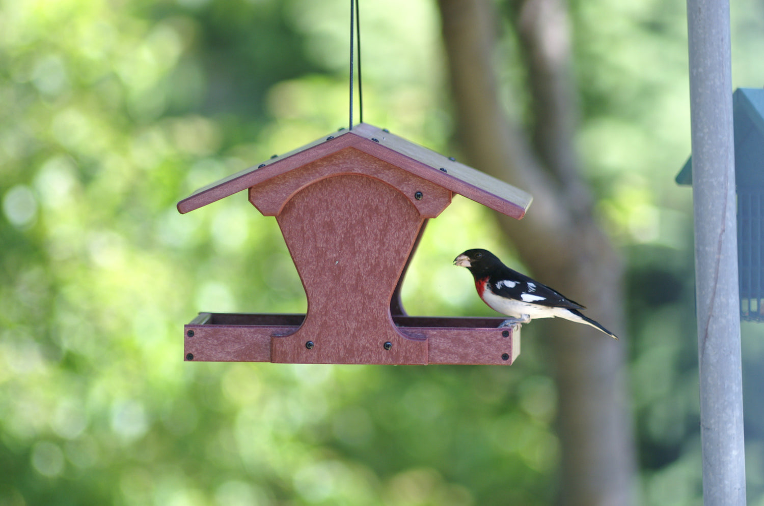 Recycled Material Feeders