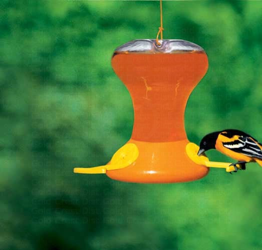 Oriole Nectar Feeders