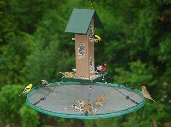 Feeder with suspended tray and lots of birds