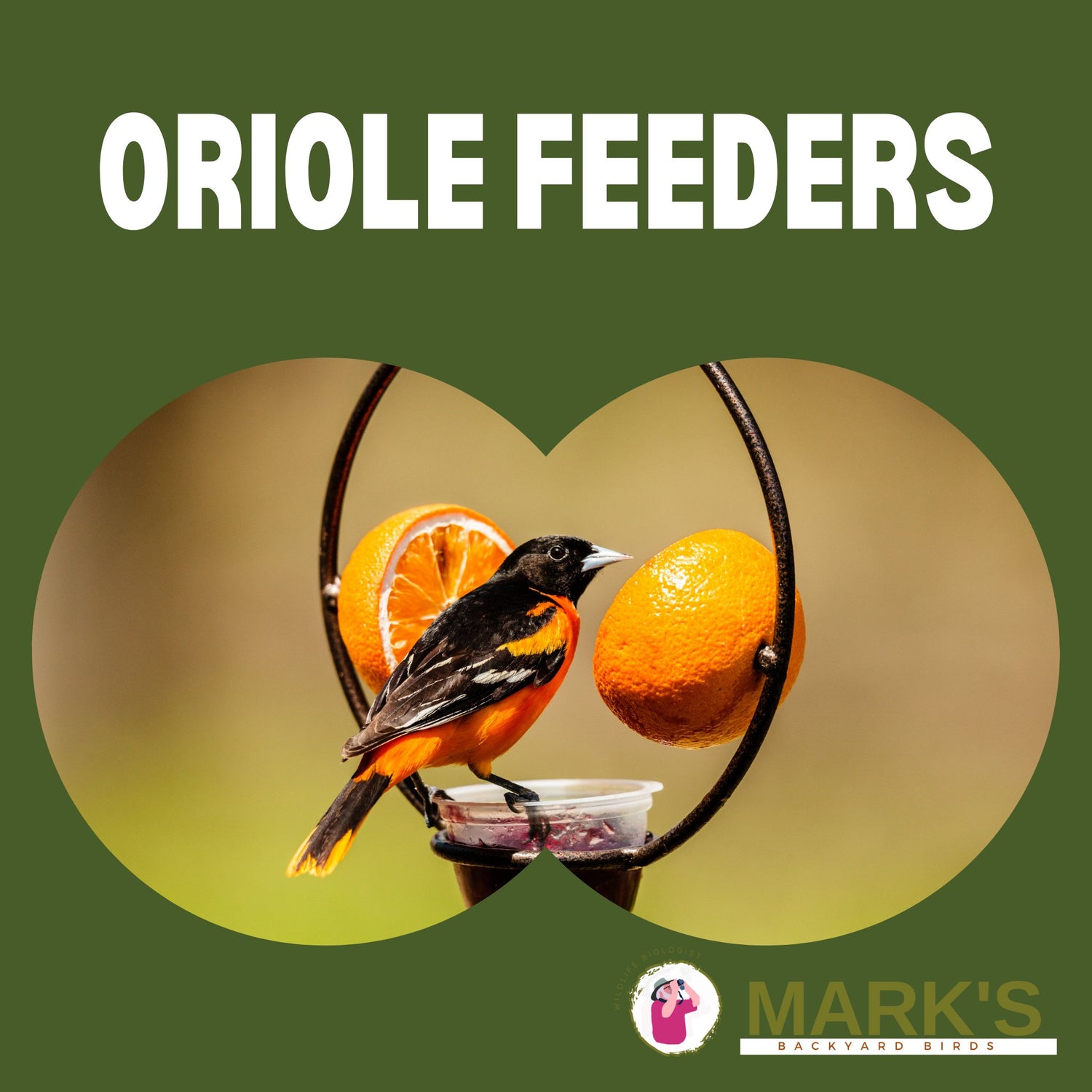 Orange feeder with two orioles