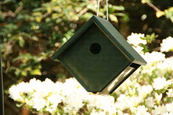 Green House Wren Nest Box