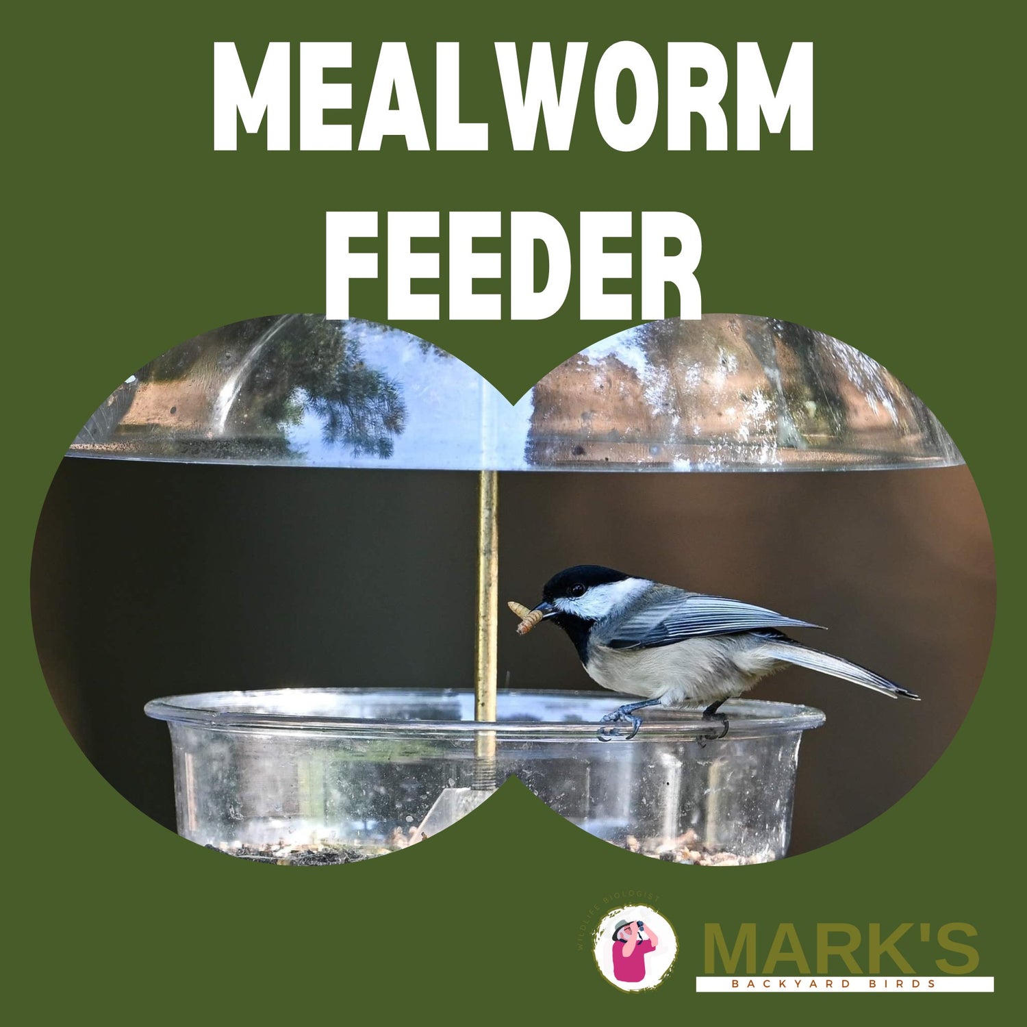 Mealworm Feeders