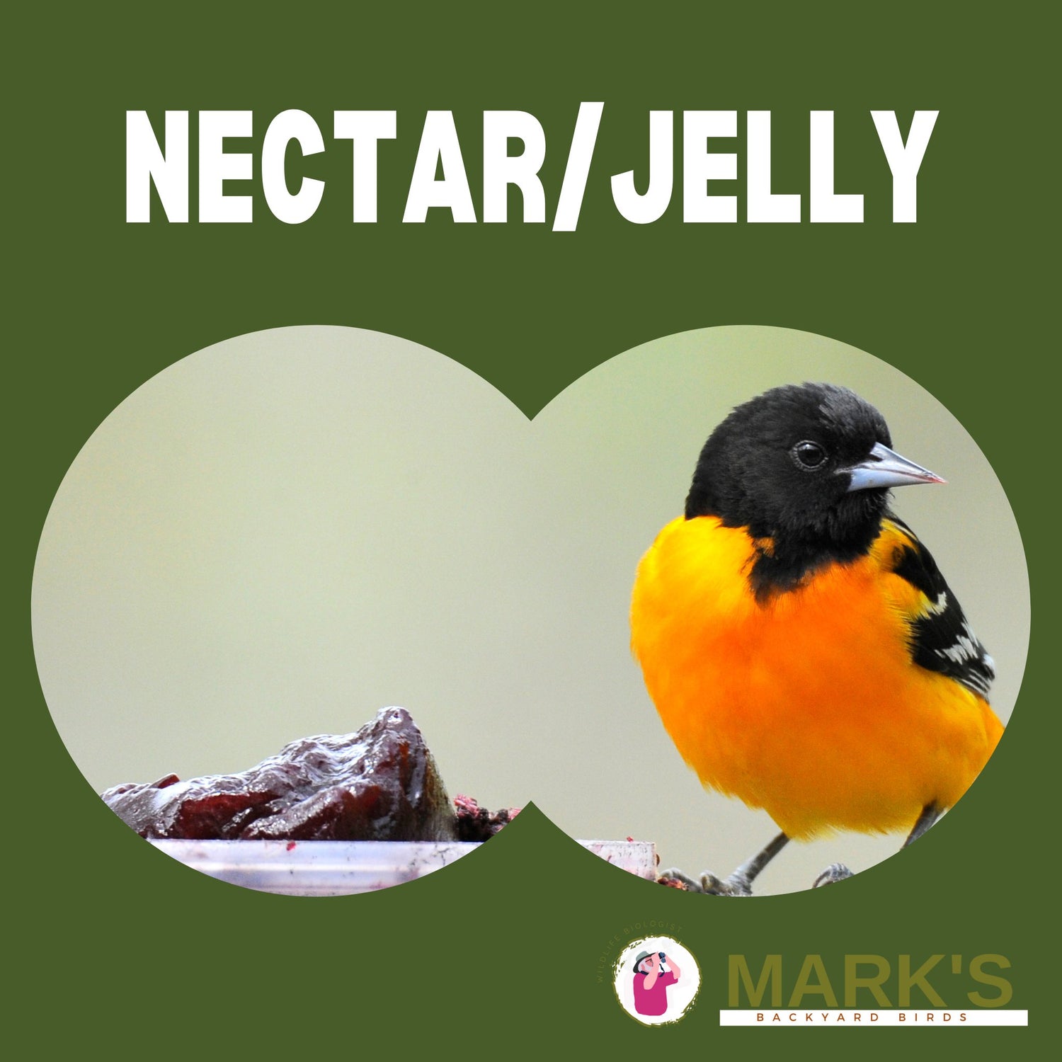 Nectar/Jelly