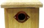 Copper finished, eye-shaped portal protector on cedar nest box