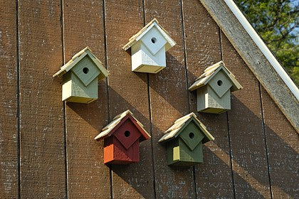 Various colored wooden House Wren Nest Boxes