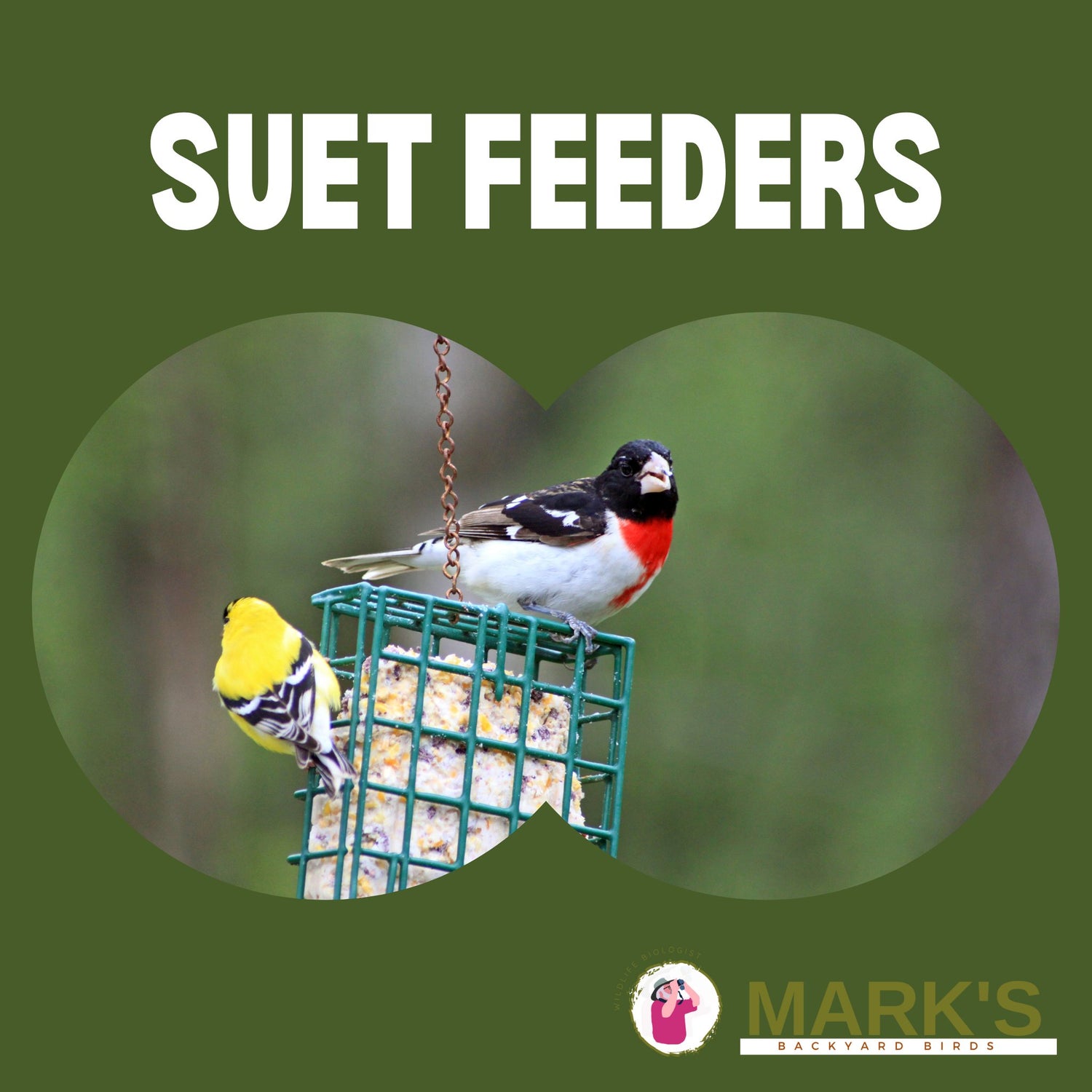 Suet Feeders