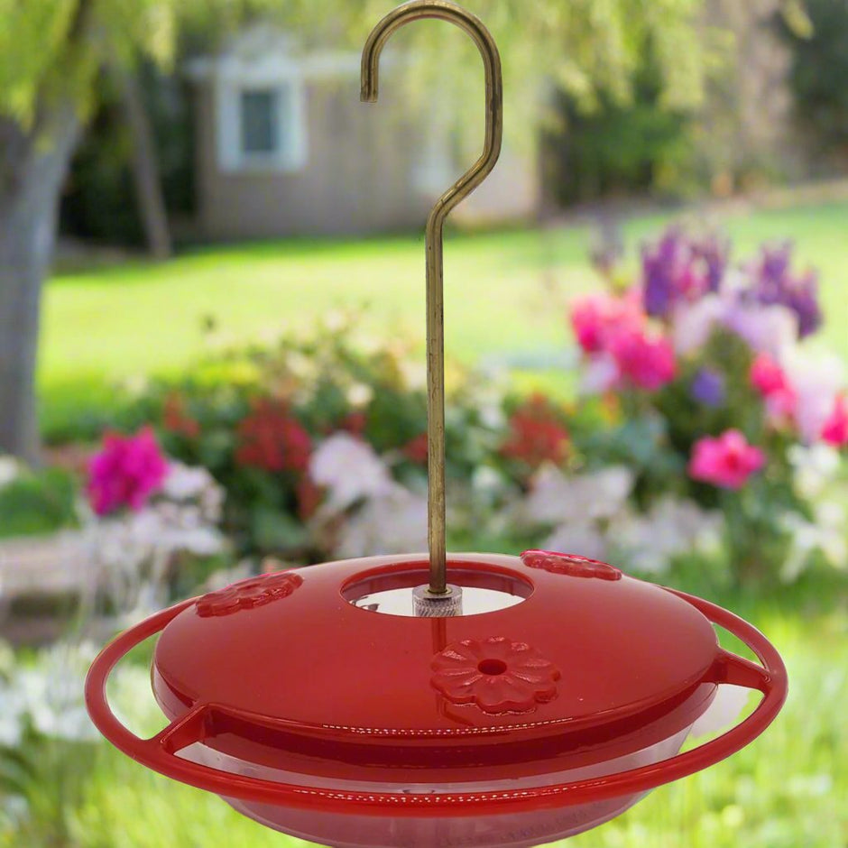 Saucer-Type Hummingbird Feeders – Backyard Bird Center