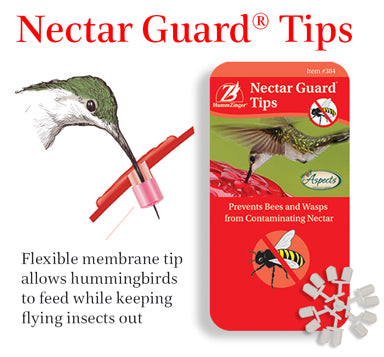 image of hummingbird drinking and red label for nectar guard tips