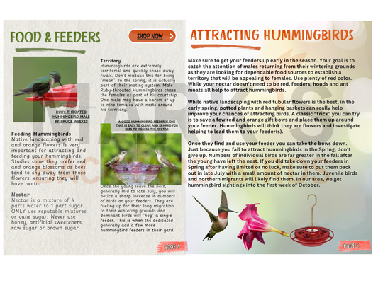 Hummingbird EBook