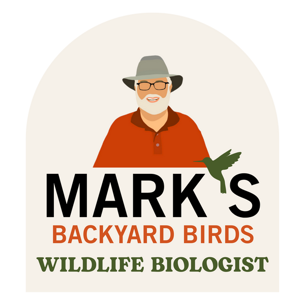 Backyard Bird Center