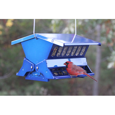 Kay Home Products Blue Absolute II Feeder 7537/WL24603