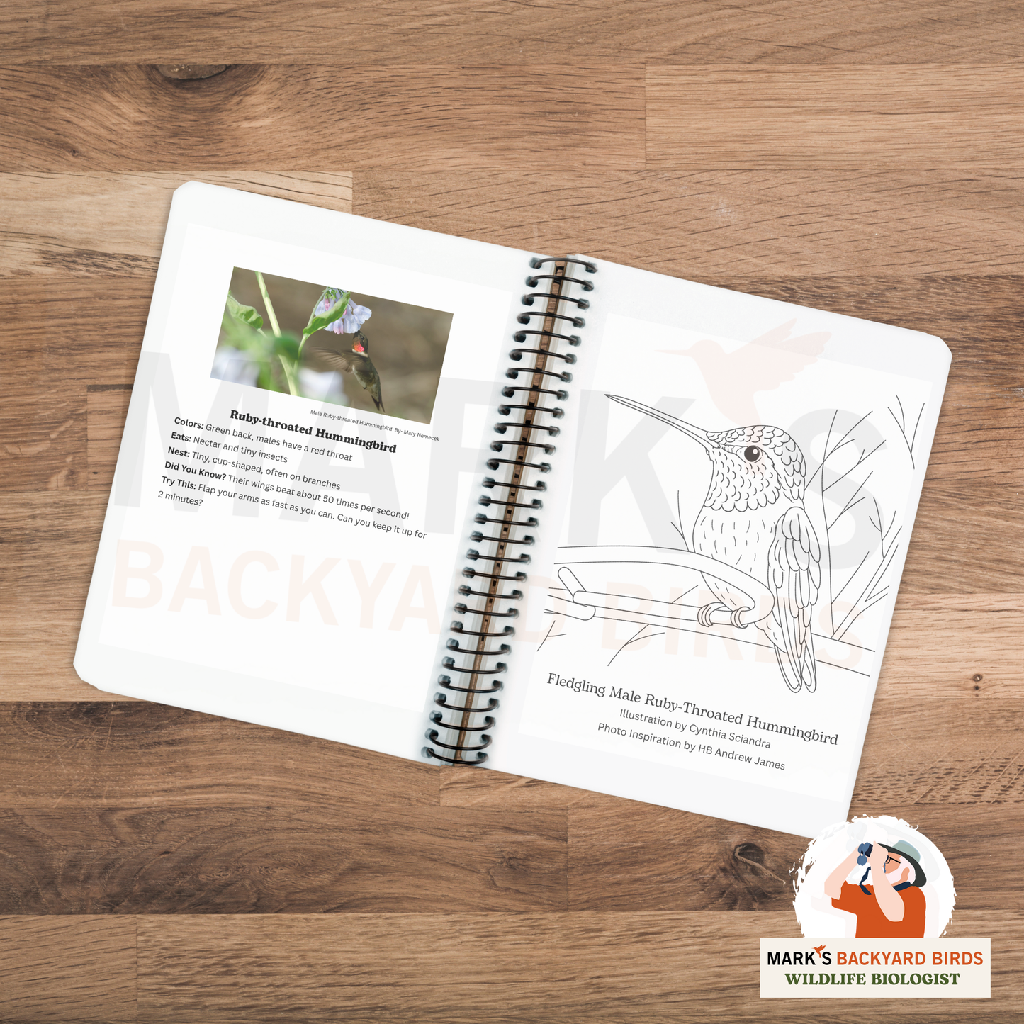 Young Birder's First Field Journal (Grades 2–6) – Printable Birdwatching Activity Book with Tips, Puzzles, Science & Drawing Fun
