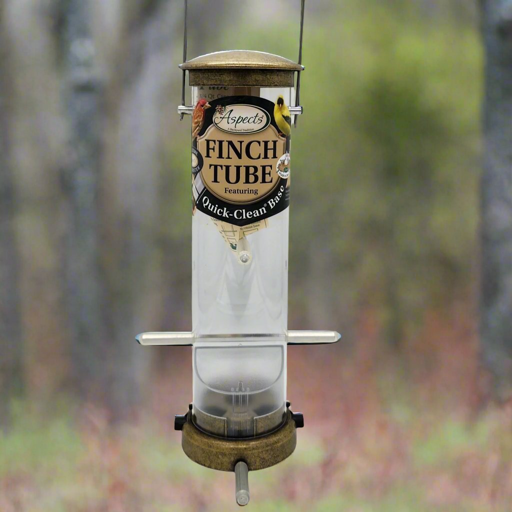 6 port Finch Tube with antique brass top and bottom