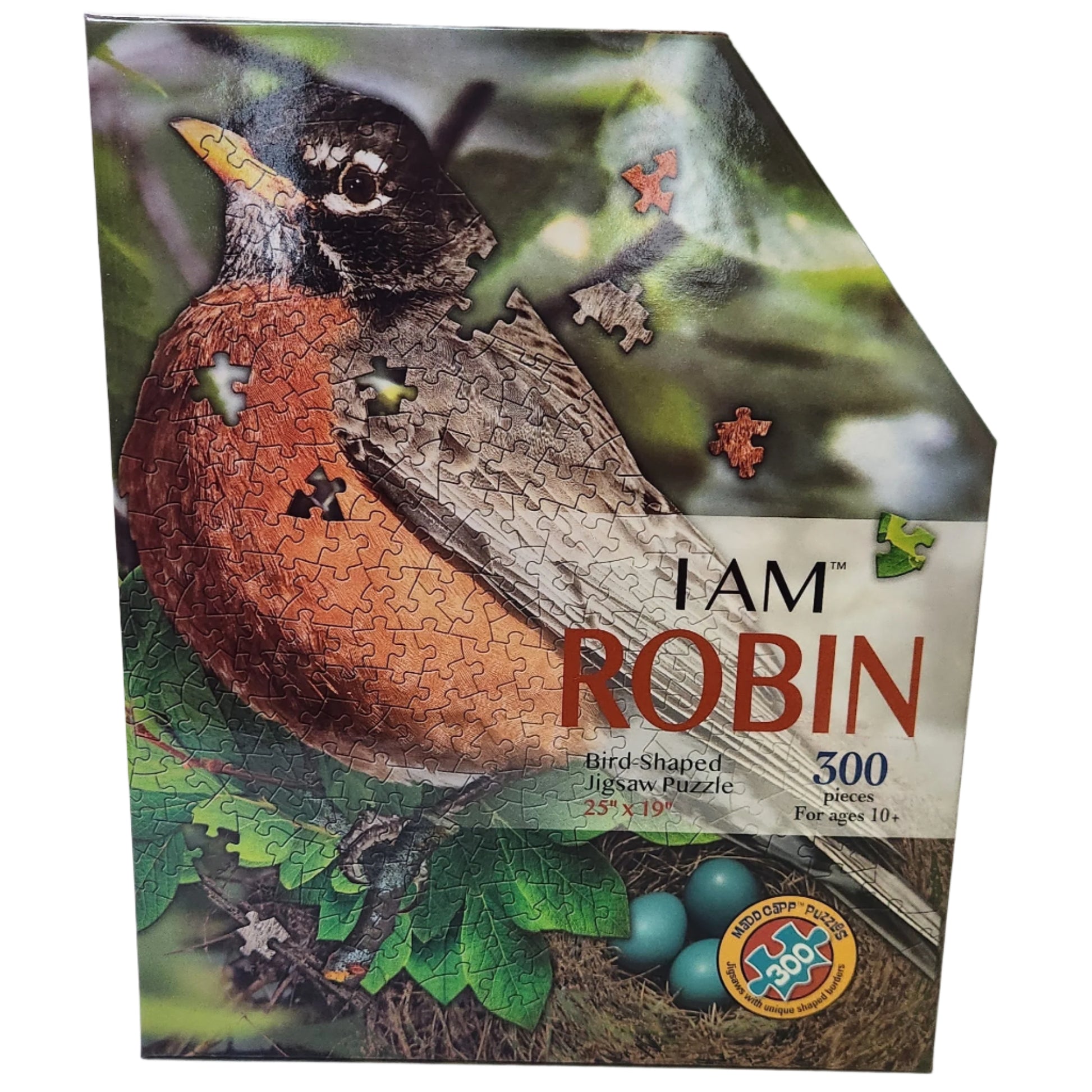 Box with an American Robin and I Am Robin