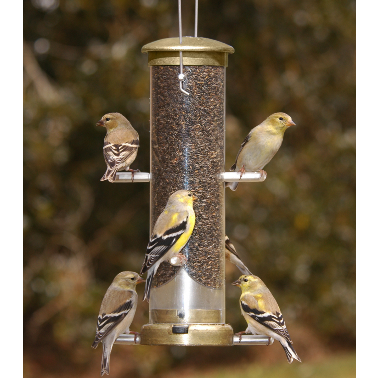 Aspects® Nyjer®/Finch Tube Feeders w/Quick-Clean® Bases