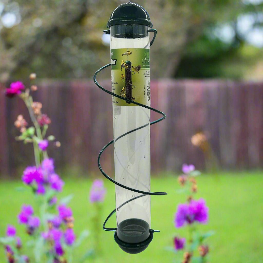Clear tube feeder with green top, base and spiral perch