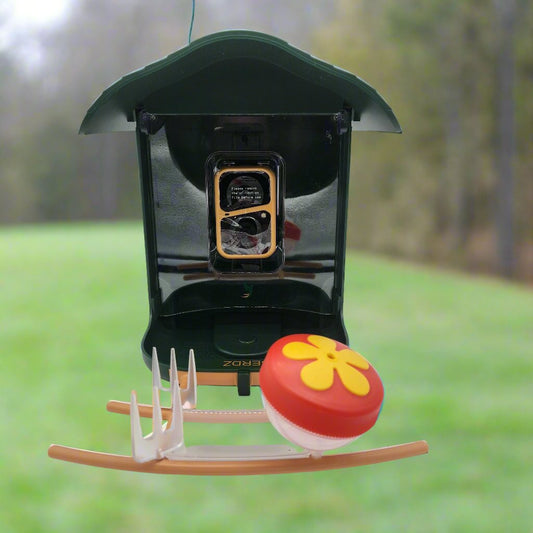 Green bird feeder with camera with red dot feeder and clear fruit forks