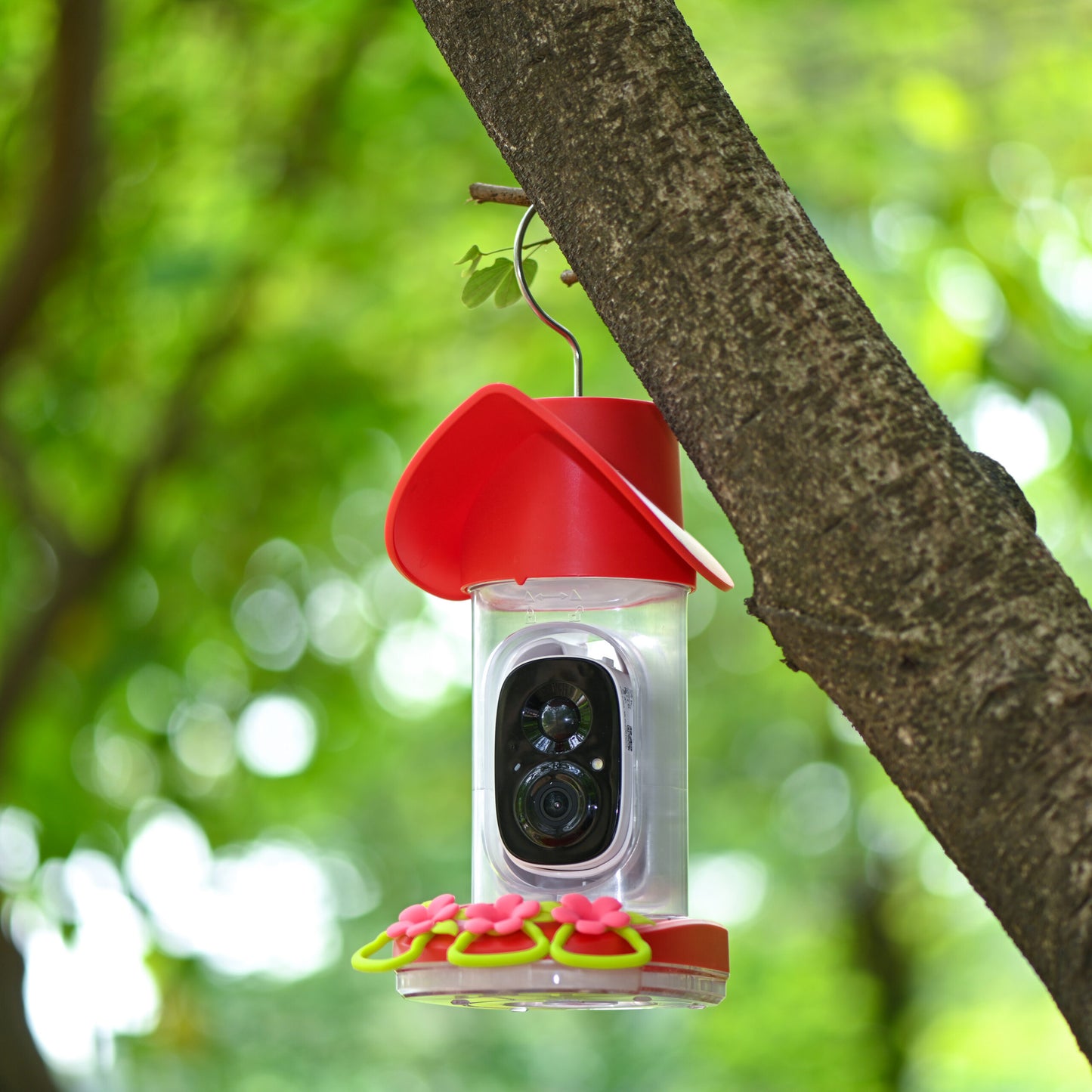 Smart Hummingbird Feeder with Wireless Outdoor Camera, Auto Capture & Motion Detection