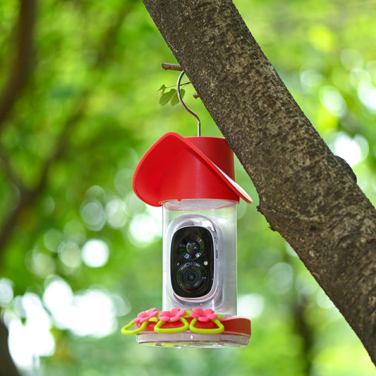 Smart Hummingbird Feeder with Wireless Outdoor Camera, Auto Capture & Motion Detection