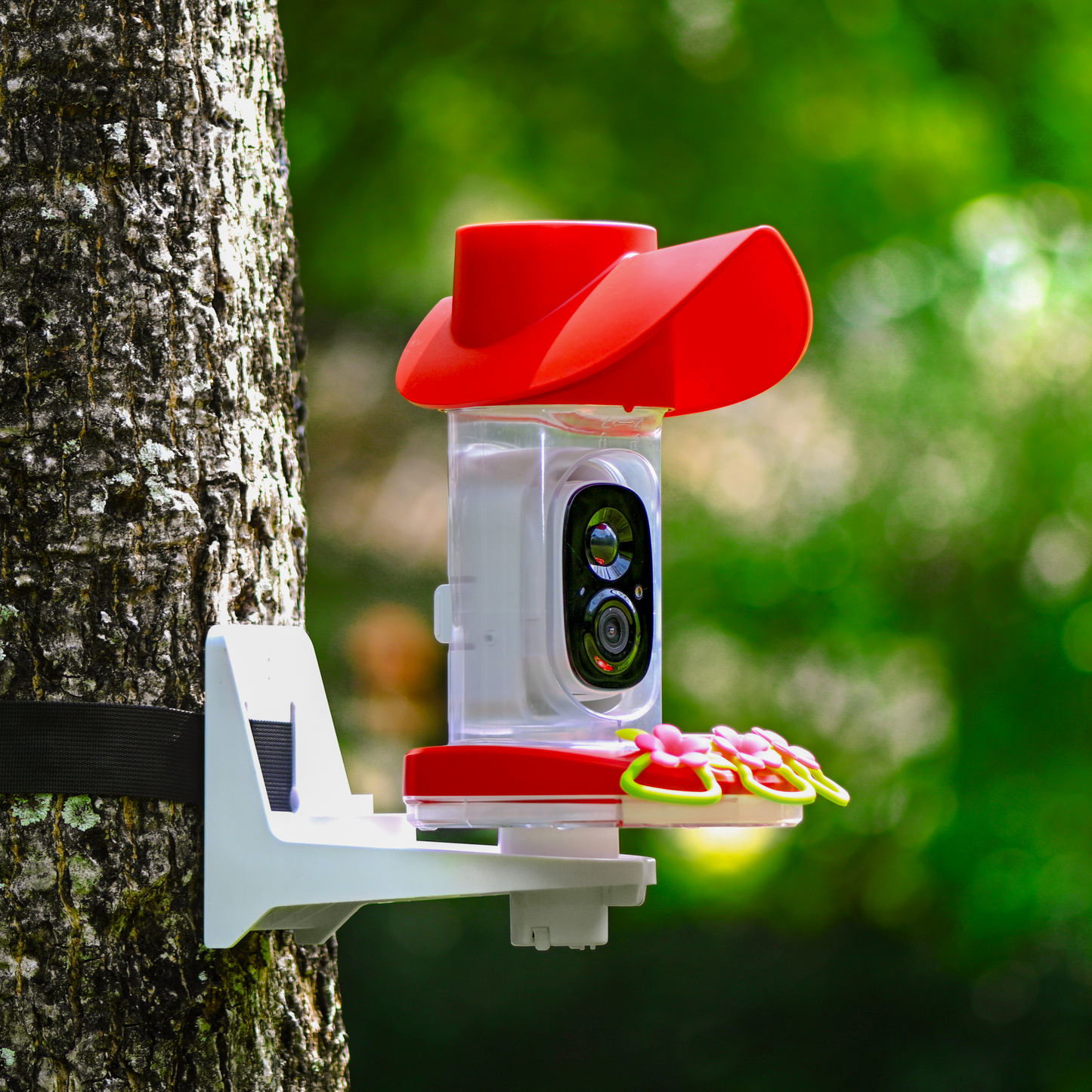 Smart Hummingbird Feeder with Wireless Outdoor Camera, Auto Capture & Motion Detection