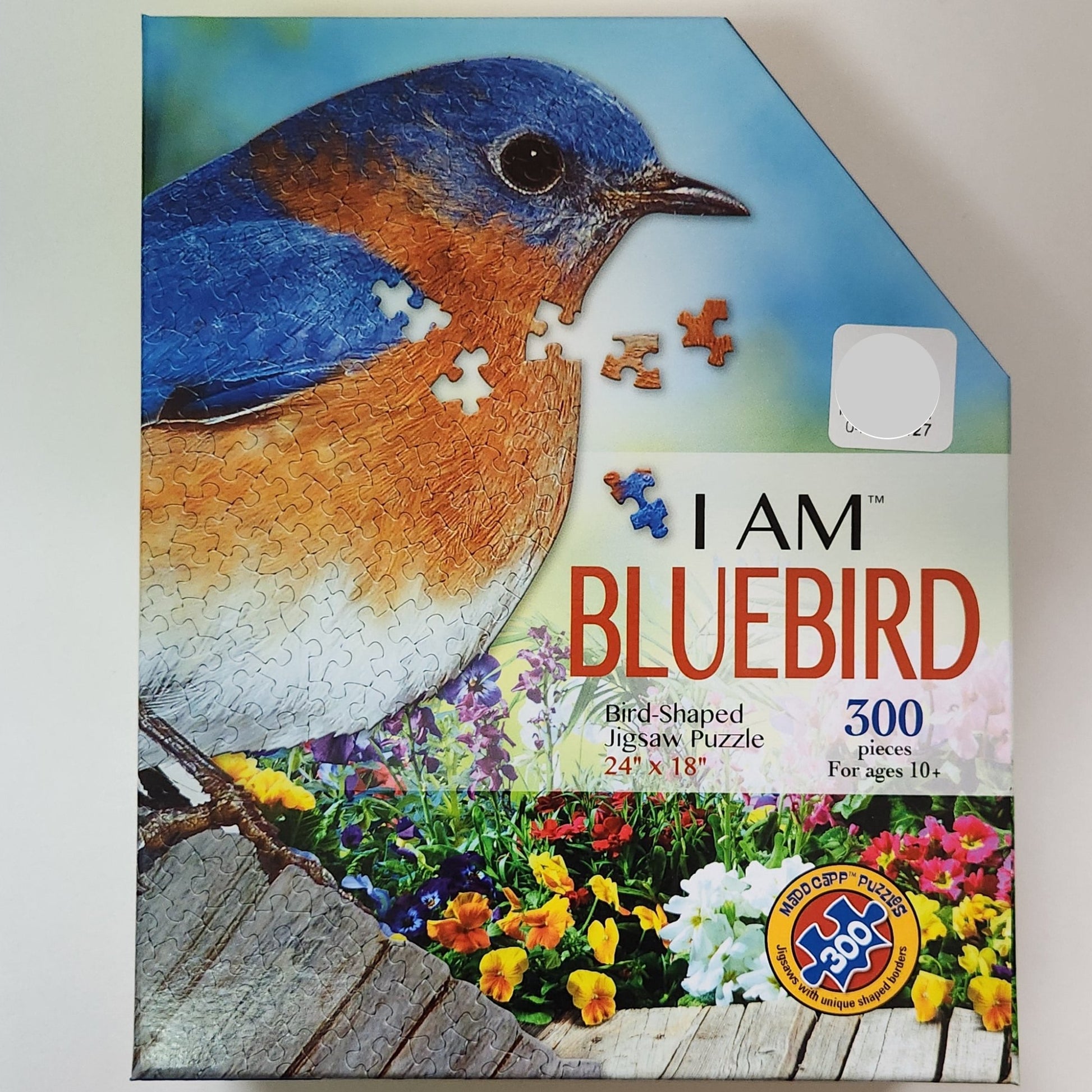 Box with eastern bluebird and flowers