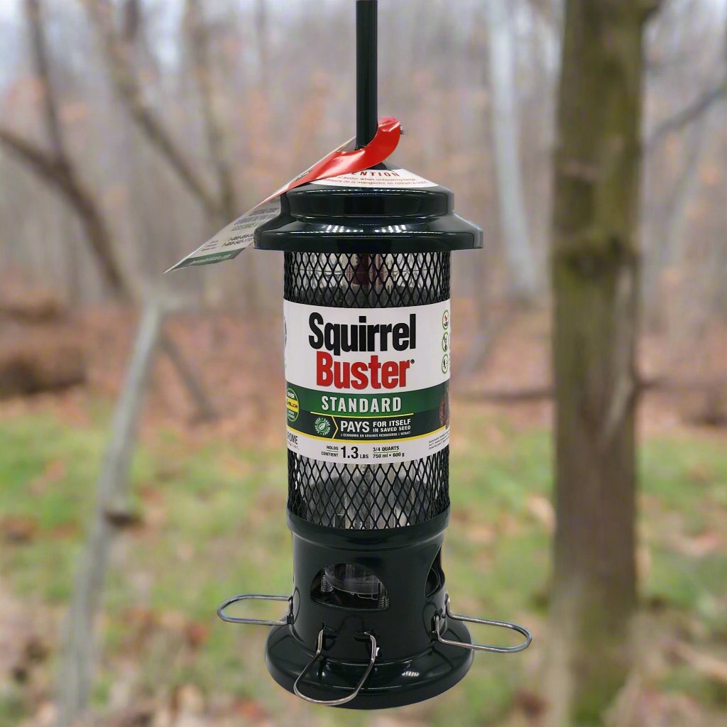 Green mesh feeder with Squirrel Buster on the label