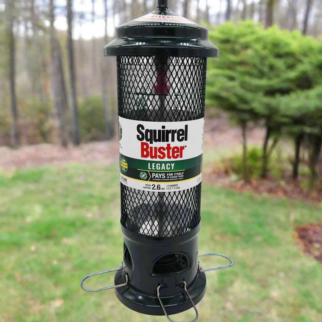 Green Squirrel Buster Ledacy Feeder