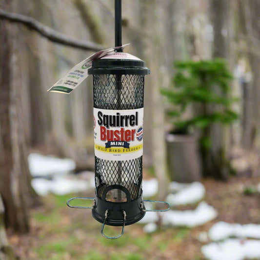 Squirrel Buster® Mini