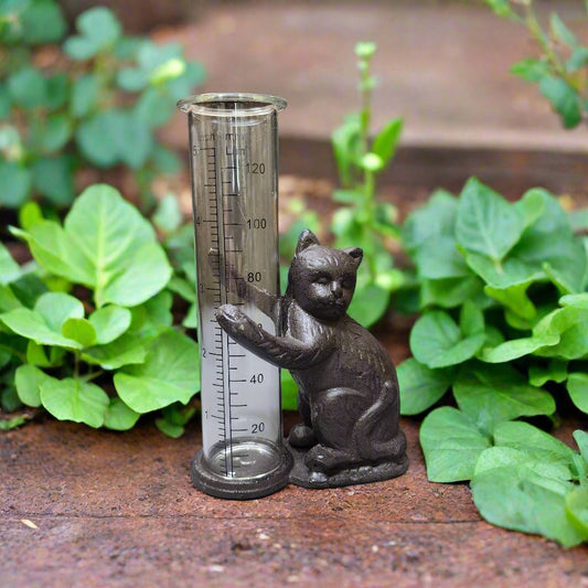 dark metal cat figure holding a glass rain gauge tube