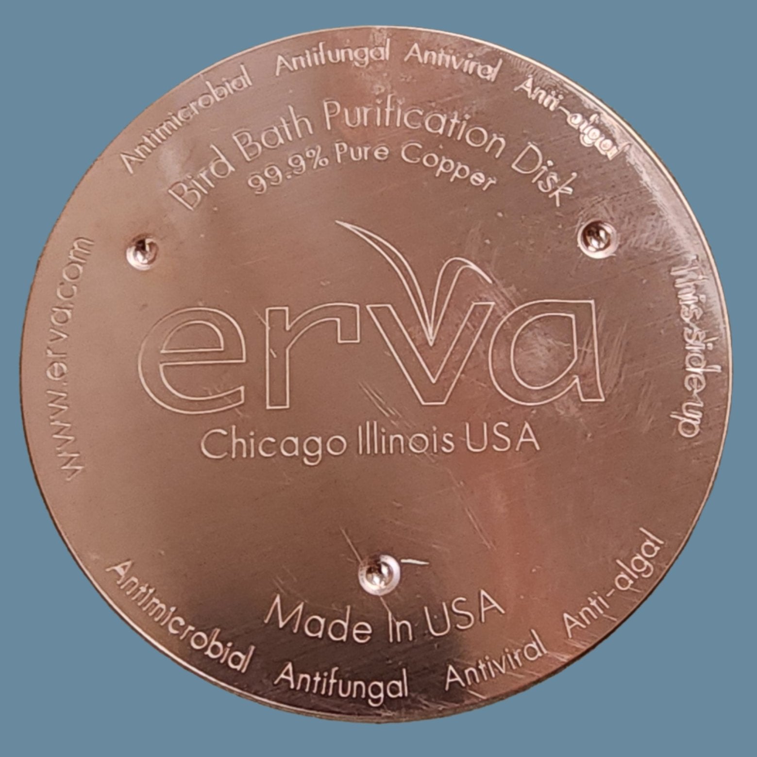 Round copper plate with erva