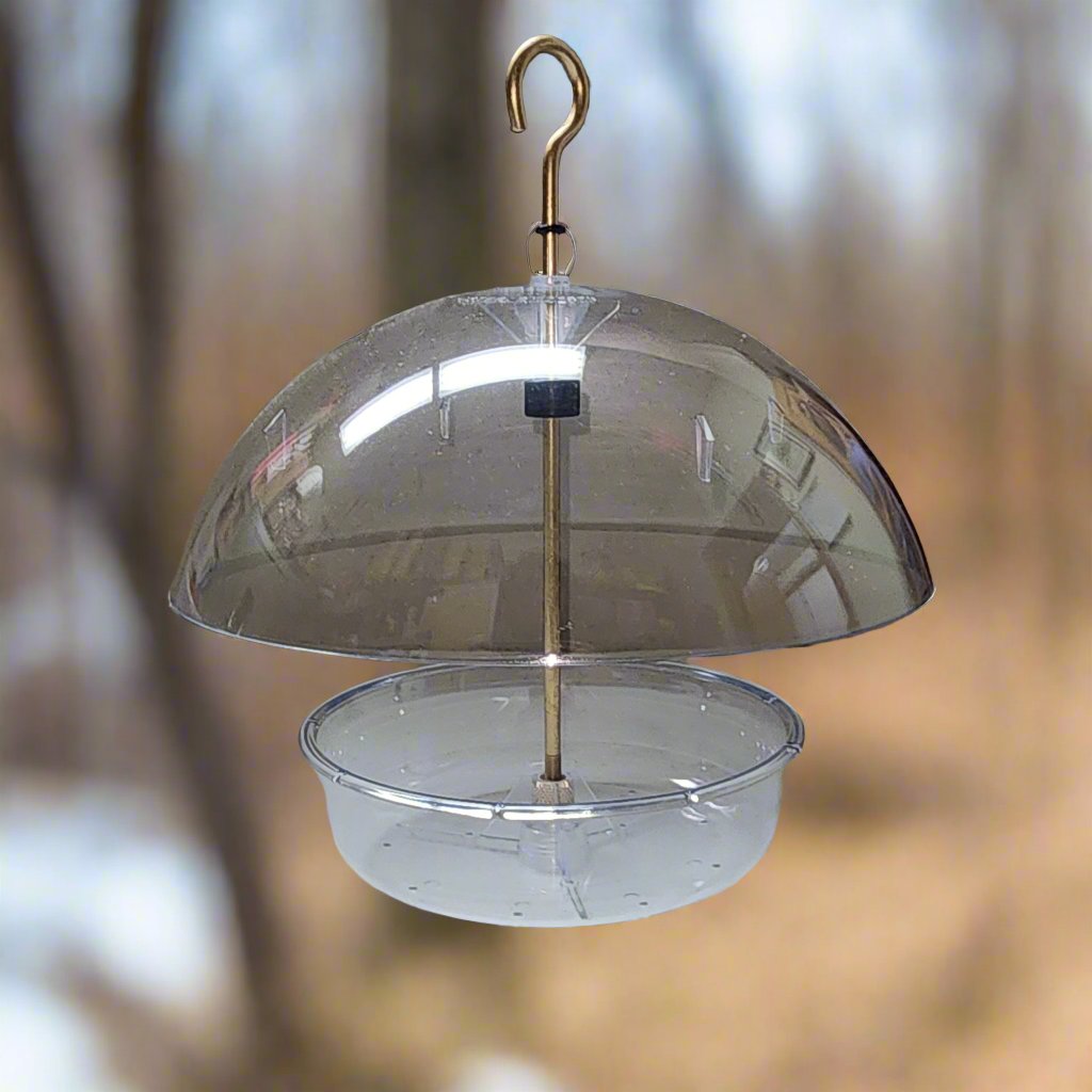 clear domed bird feeder with brass hanger