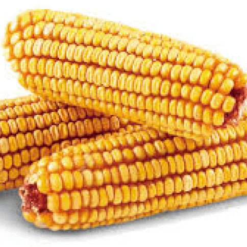 3 ears of corn