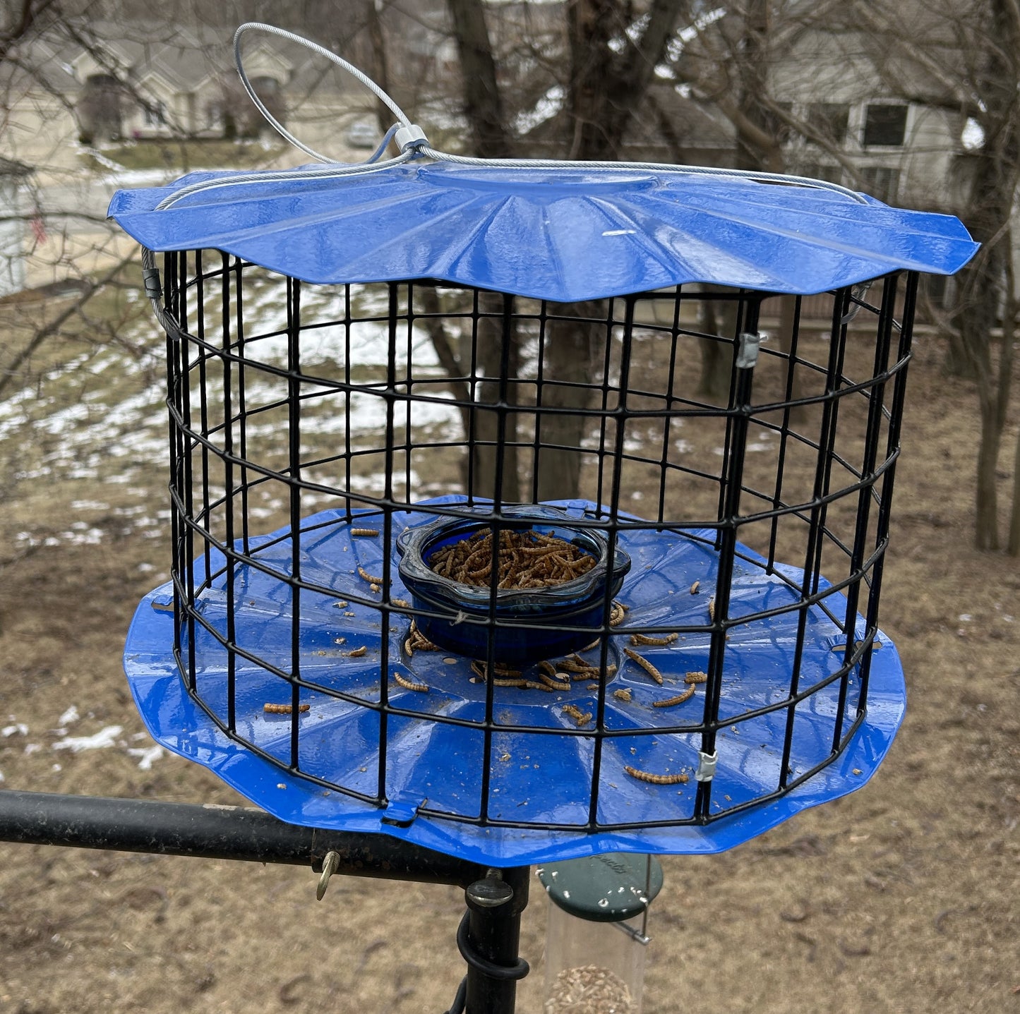 Round blue top and base feeder with black wire and blue glass dish