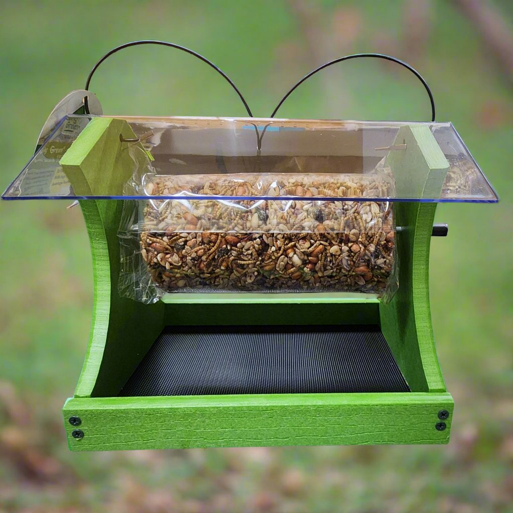 Green feeder with clear roof and seed cylinder