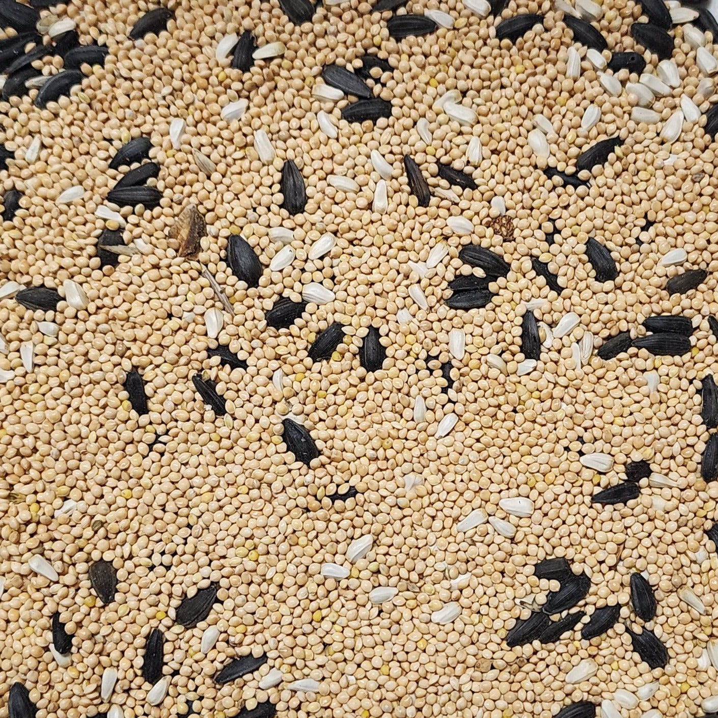 mixed bird seed with millet, sunflower and safflower seed