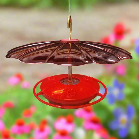 Red hood and hummingbird feeder