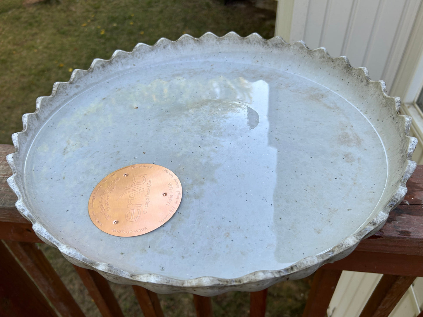 Copper disc in bird bath