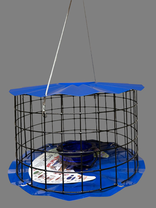 Blue top and base with black wire caged feeder