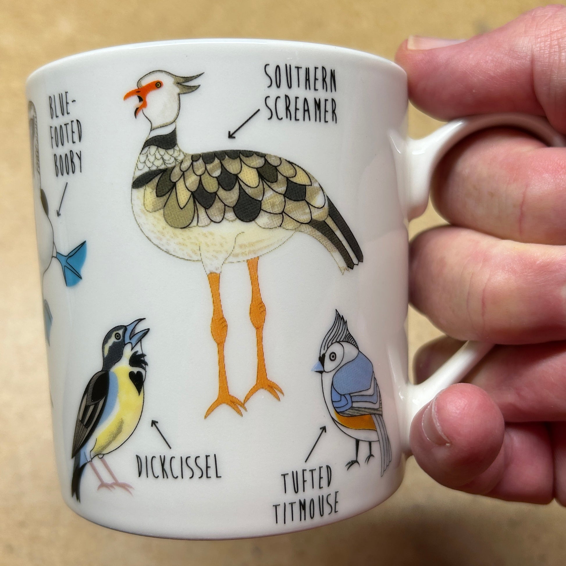 A hand holding a white ceramic mug decorated with illustrated birds and handwritten labels, photographed against a tan tabletop background.