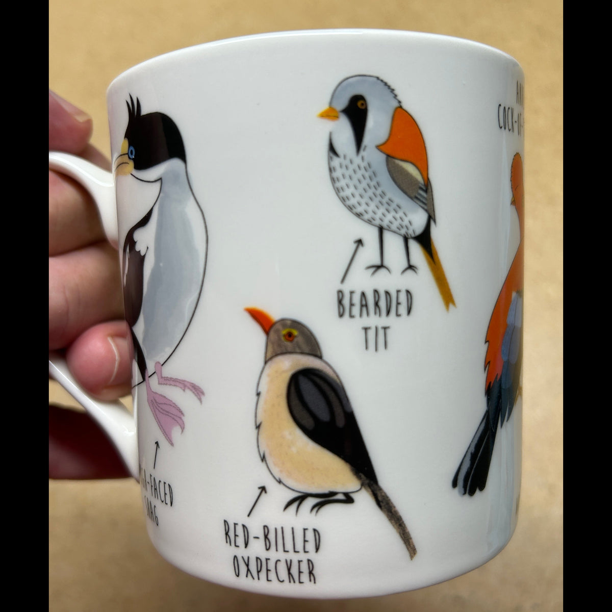 A hand holding a white ceramic mug decorated with colorful bird illustrations and labels, including 'Bearded Tit' and 'Rev-Billed Oxpecker', against a tan tabletop background.