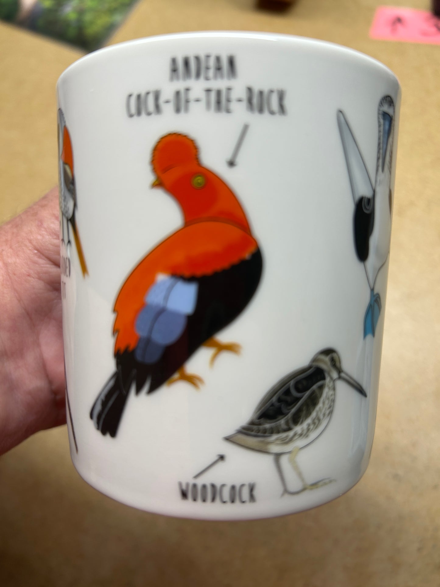 A hand holding a white ceramic mug featuring colorful bird illustrations, including an Andean Cock-of-the-Rock and a Woodcock, on a beige tabletop background.