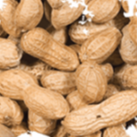 Wild Delight® In-shell Peanuts