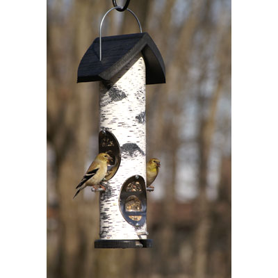 white birch bird feeder with black roof and base