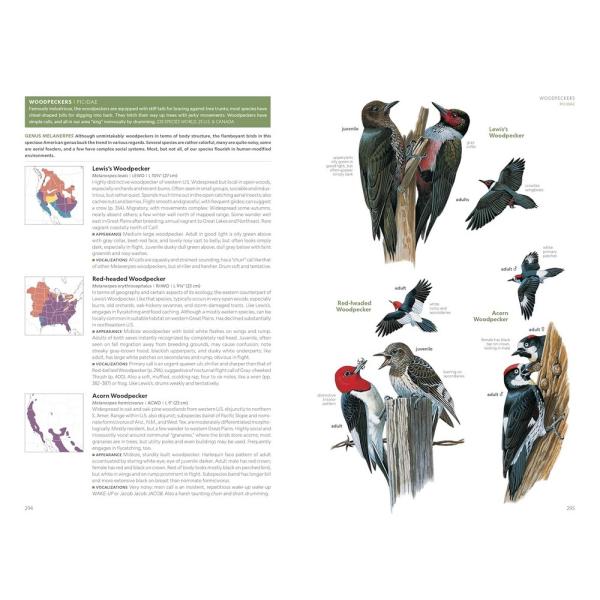 A printed page from a nature guide or educational book showing detailed woodpecker illustrations and labeled maps. The right side features multiple painted woodpecker species with labels and small inset maps, while the left side contains text blocks and map callouts under a green header.