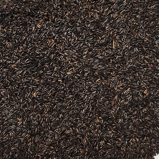 black nyjer seeds