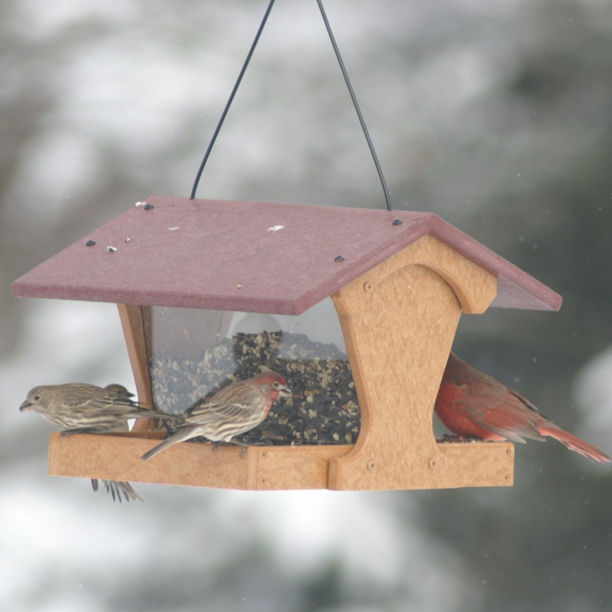 tan feeder with cherry roof and birds