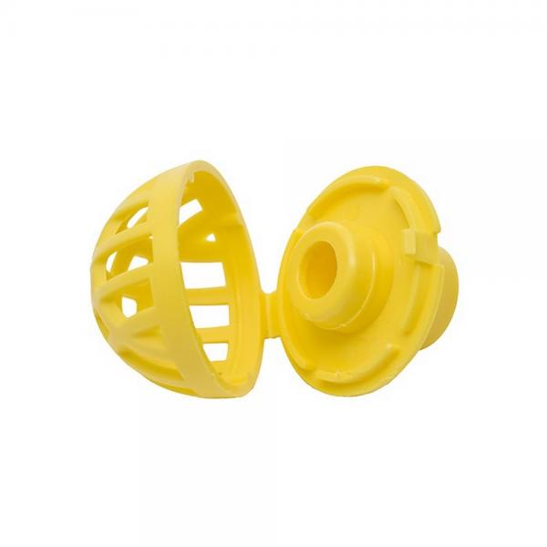 Yellow Bee Guard open